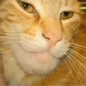 Meet your Posher, Luke